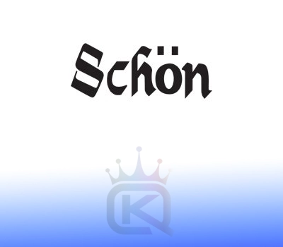 Shon Pool Cues Logo
