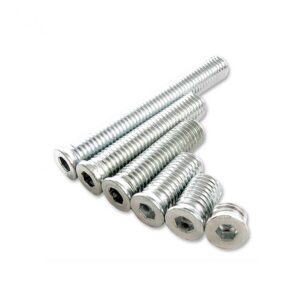 Xcel XWB Weight Bolts
